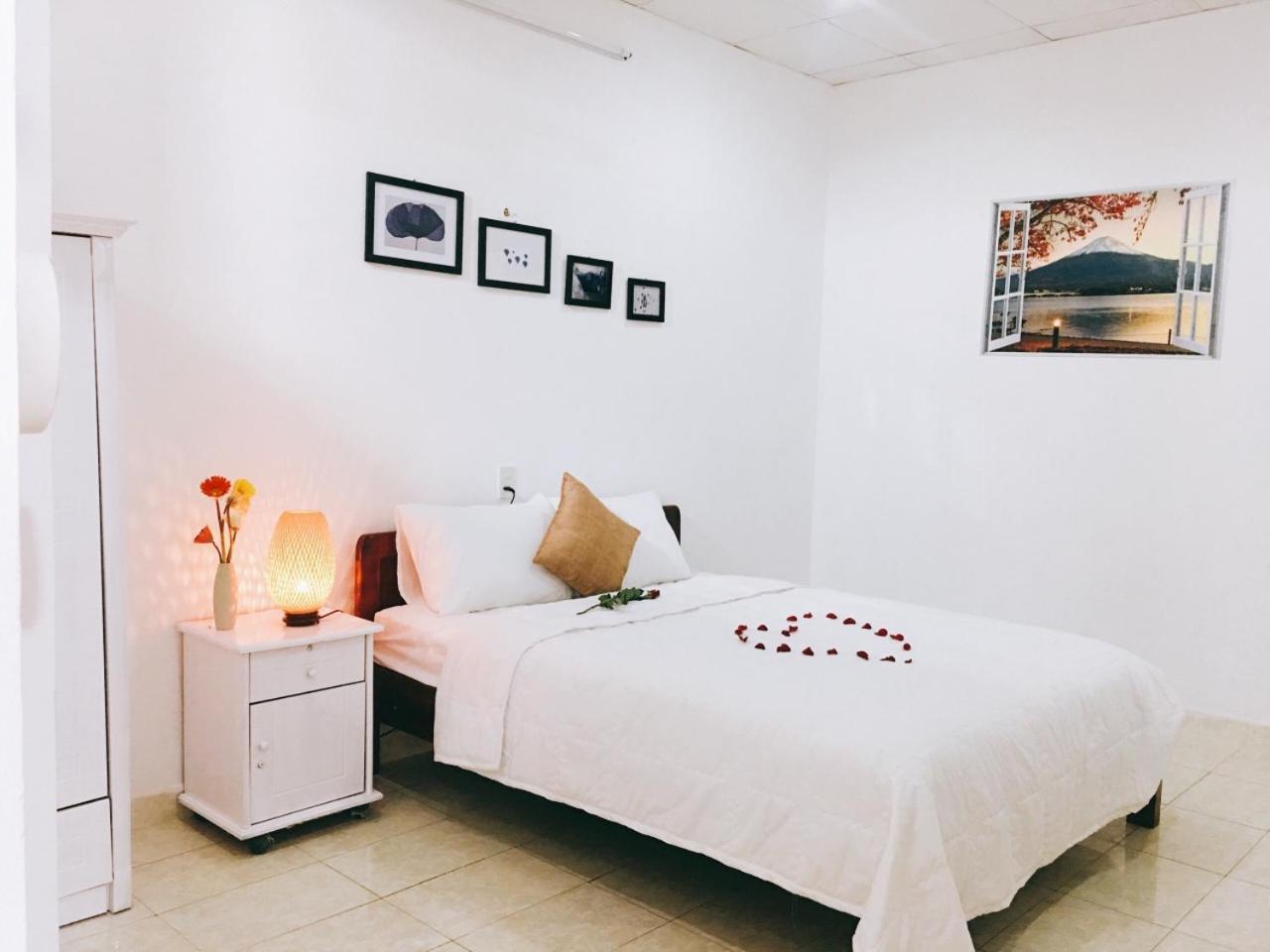 Sunshine Hostel 3 هوي المظهر الخارجي الصورة