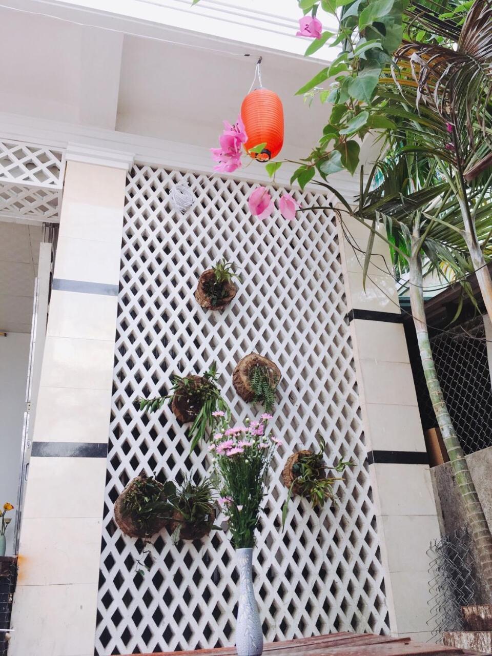 Sunshine Hostel 3 هوي المظهر الخارجي الصورة