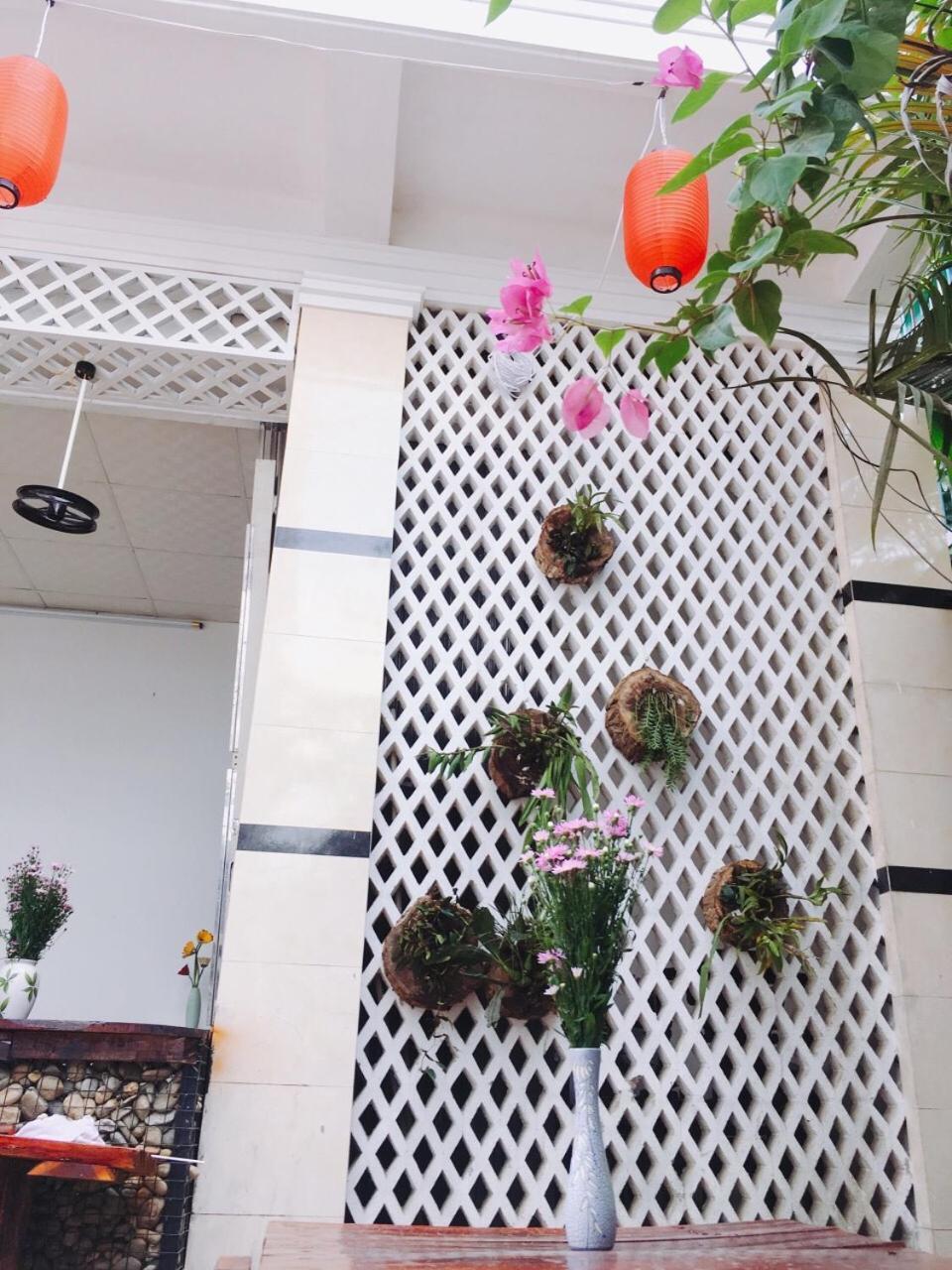 Sunshine Hostel 3 هوي المظهر الخارجي الصورة